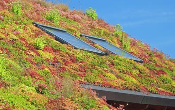 Blakenhall living roof systems
