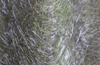 Blakenhall fibreglass roof work